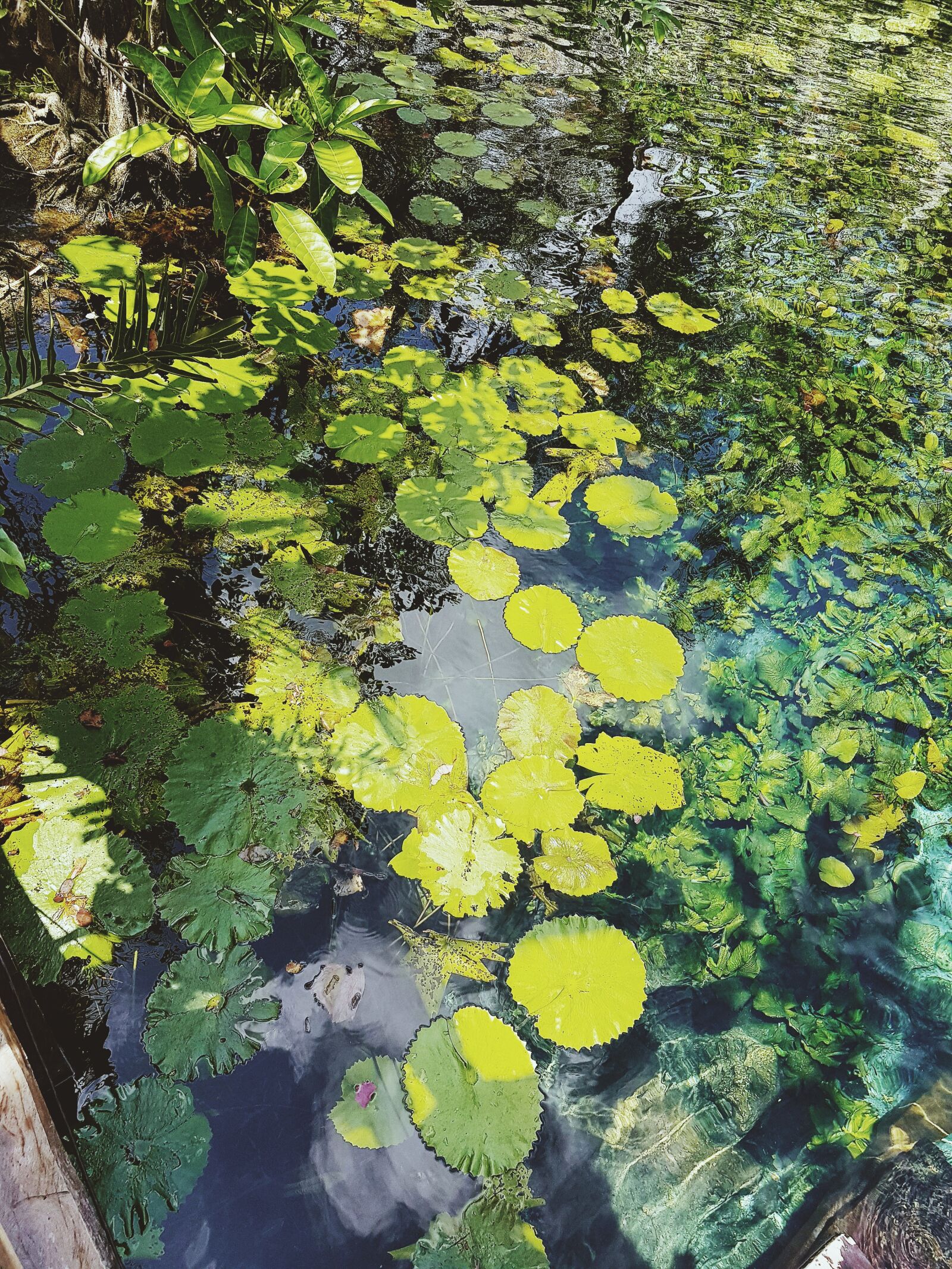 Samsung Galaxy S8+ sample photo. Underground, river, tulum photography