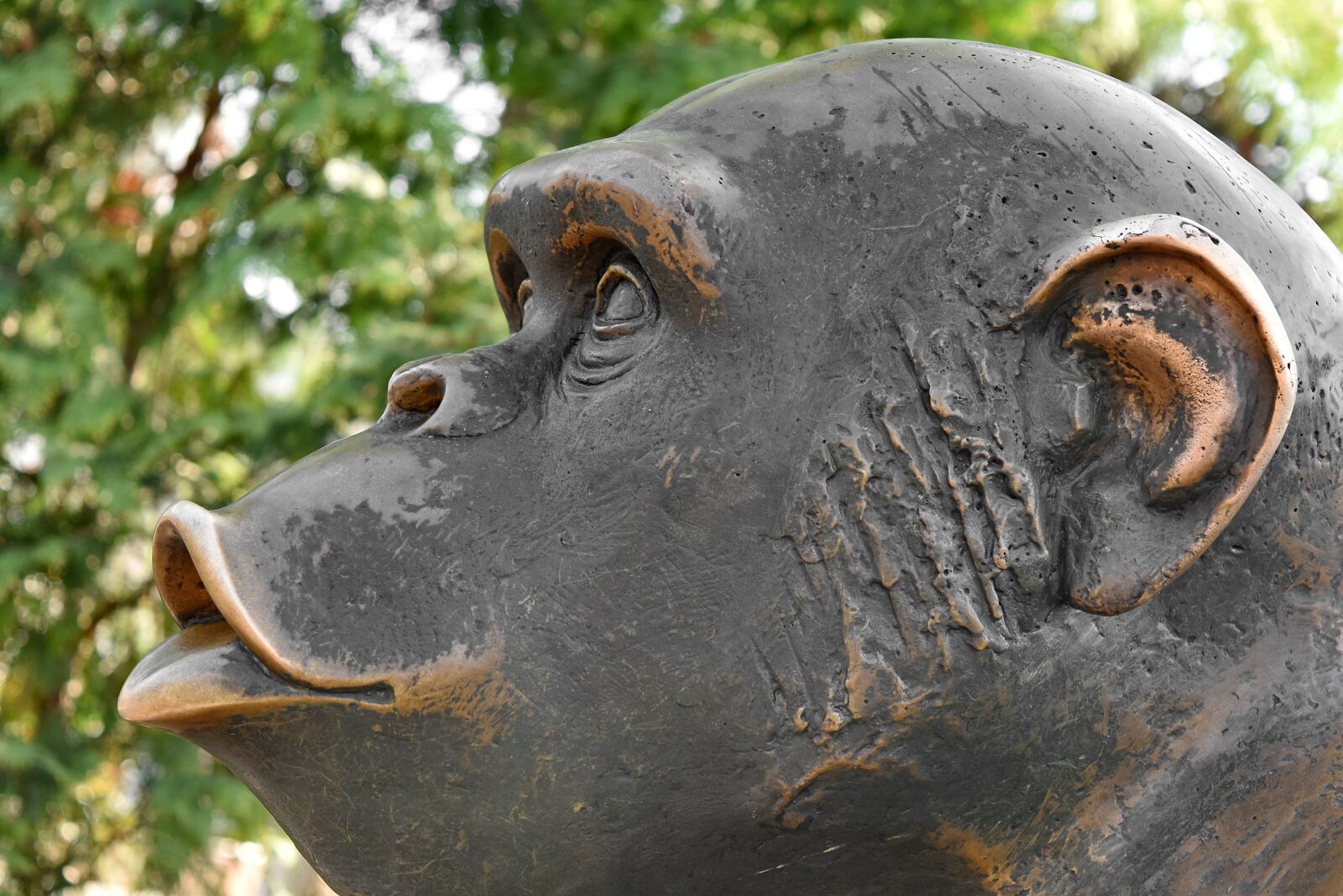 Nikon D5500 sample photo. Bronze, metal, monkey, portrait photography
