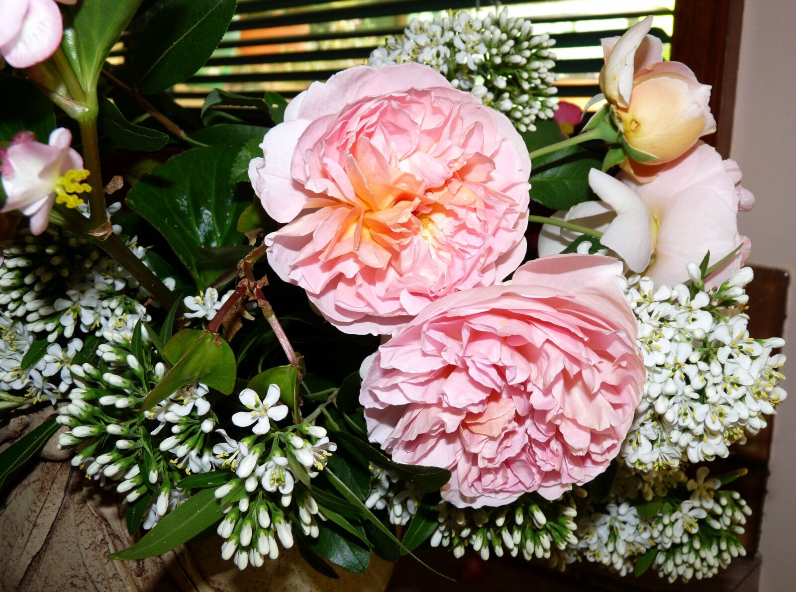 Panasonic Lumix DMC-FZ28 sample photo. Flowers, pink, roses photography