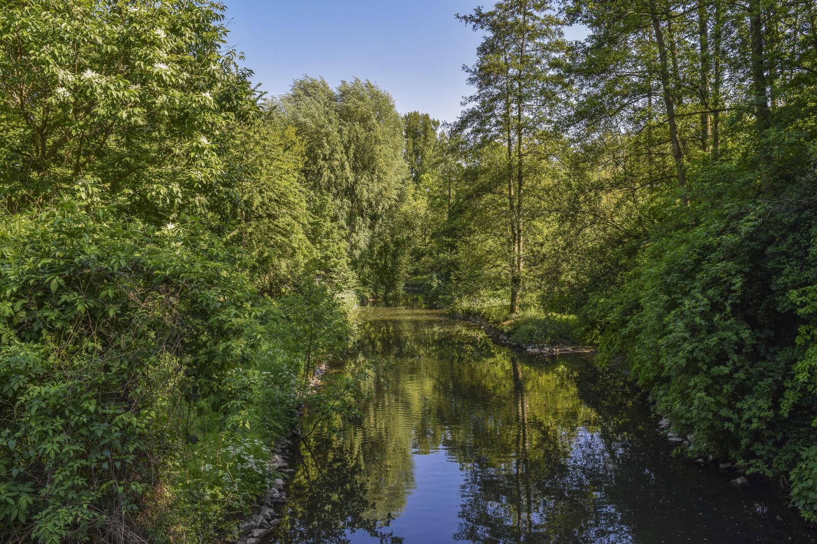 Nikon D3300 sample photo. Forest, nature, landscape photography