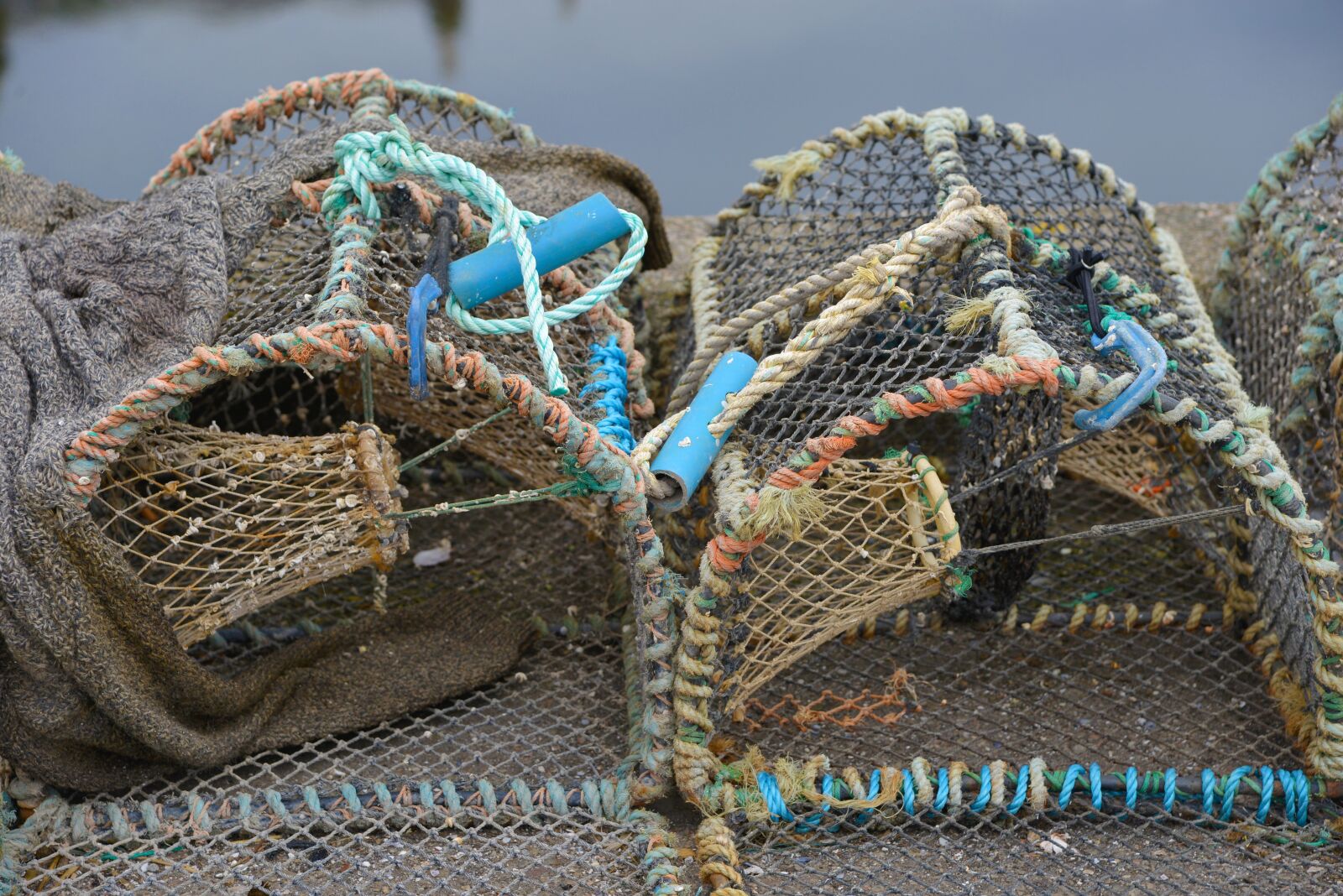 Nikon D600 sample photo. Scotland, grass box, fish-catching photography