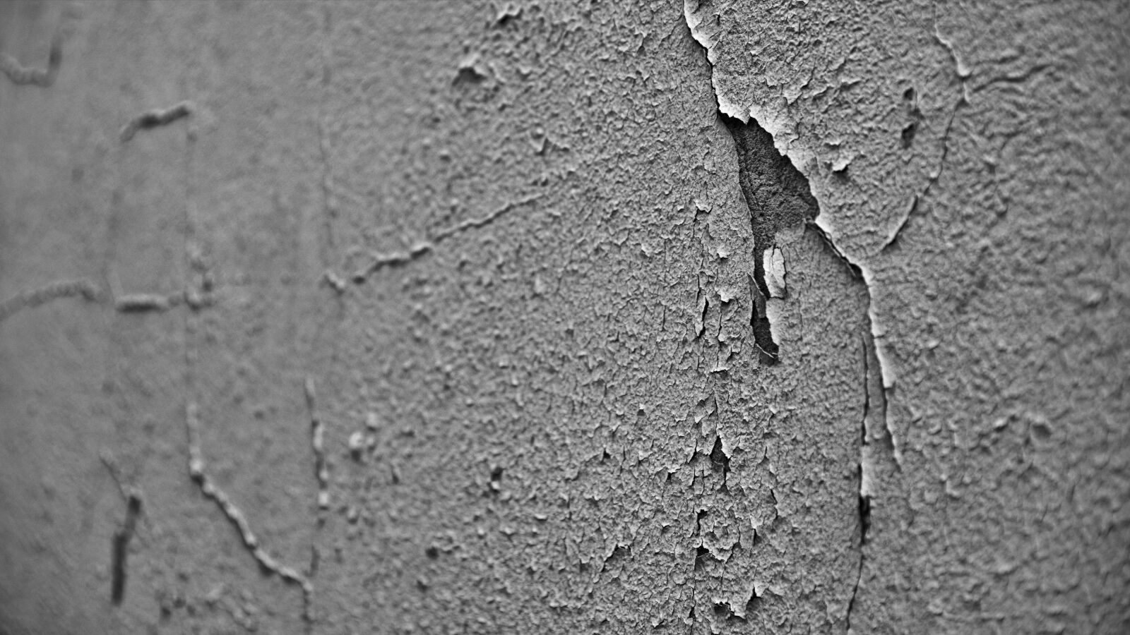 Canon EOS 6D Mark II + Canon EF 24-70mm F2.8L II USM sample photo. Wall, black and white photography