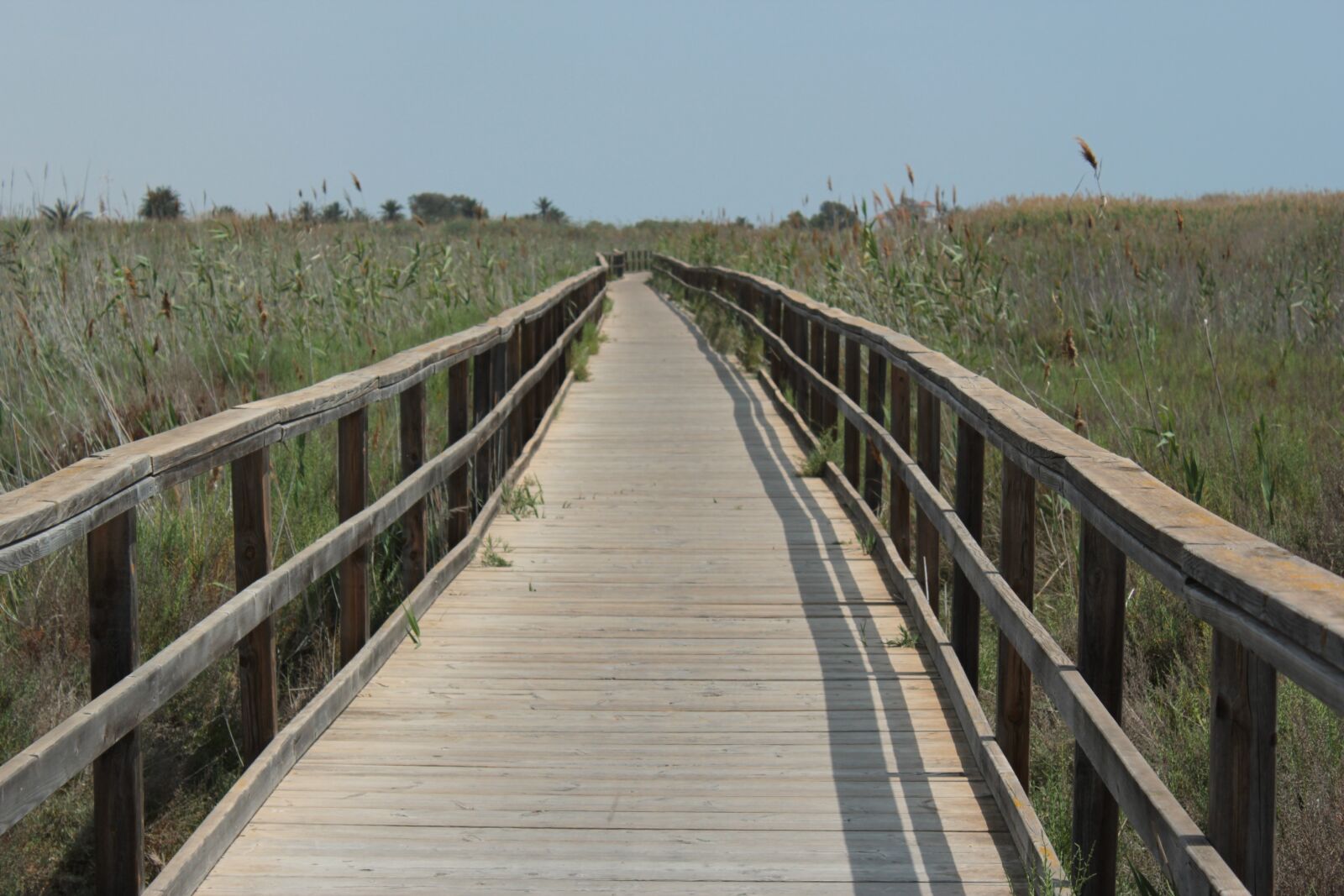 Canon EOS 550D (EOS Rebel T2i / EOS Kiss X4) sample photo. Beach, path, walk photography