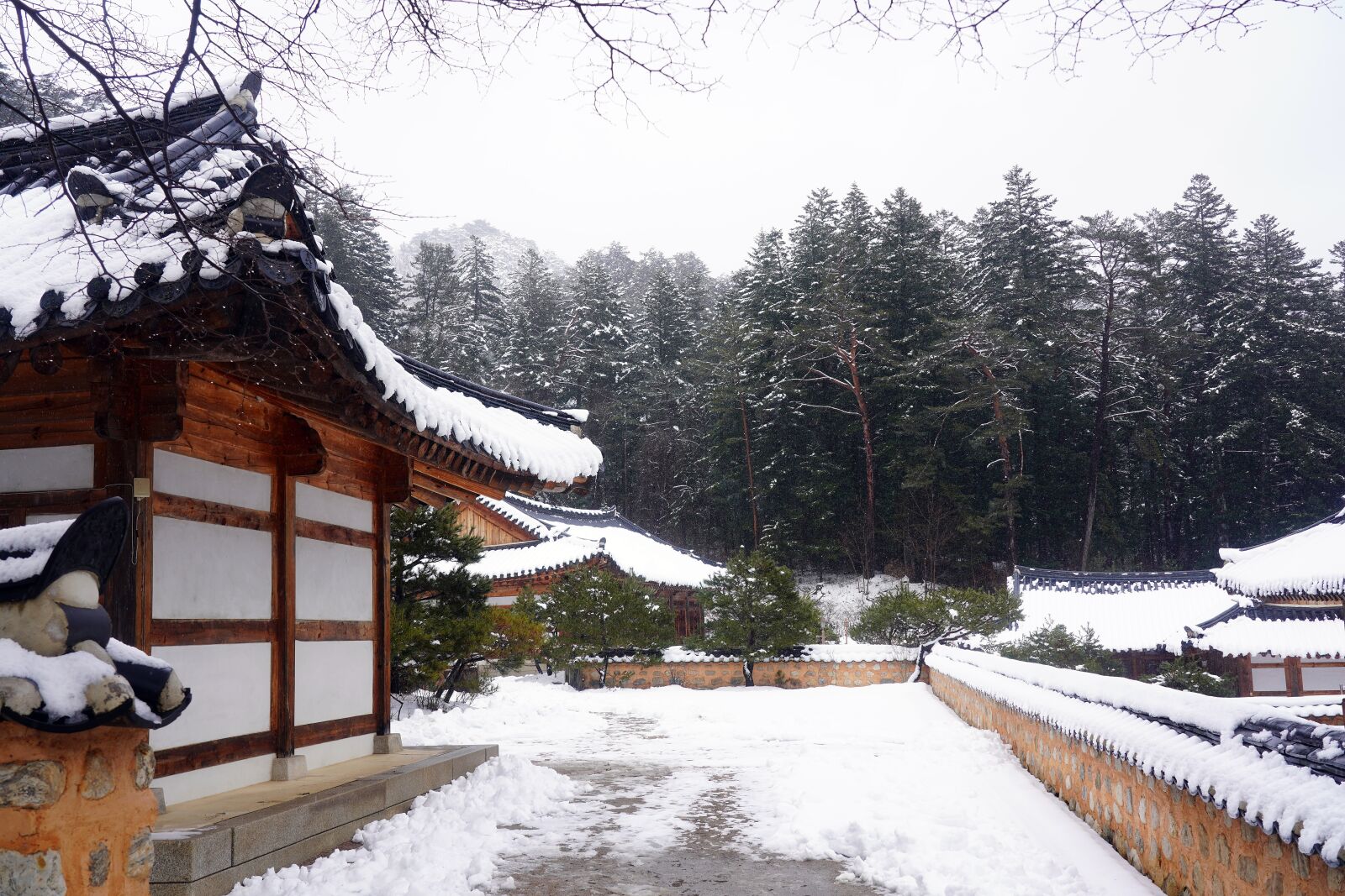 Sony FE 24-105mm F4 G OSS sample photo. Korea, temple, section photography