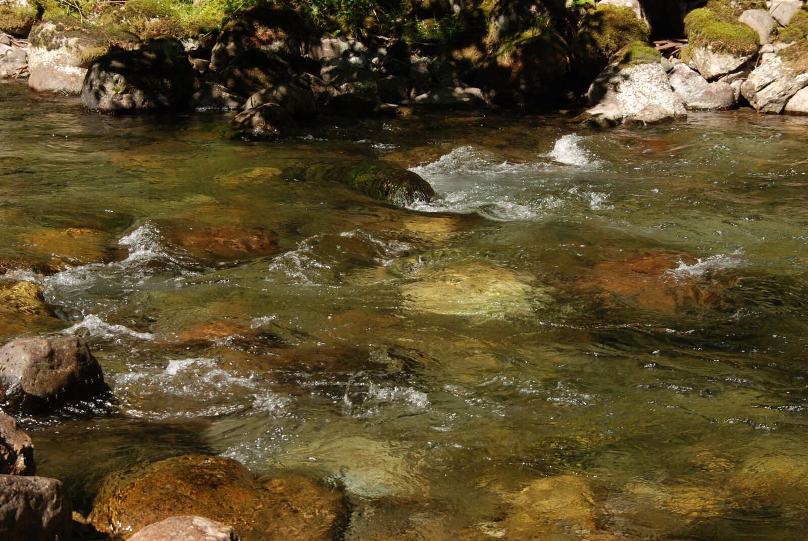 Nikon D80 sample photo. Water, brook, flow photography