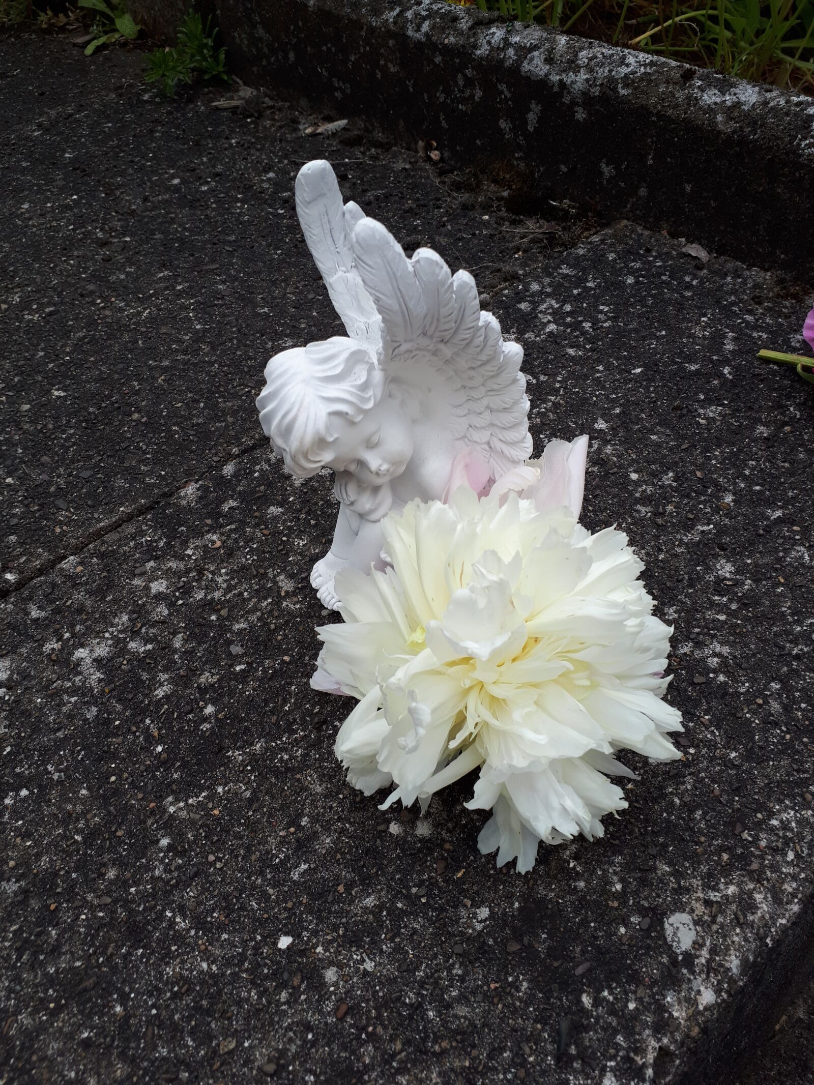 Samsung Galaxy A5(2017) sample photo. Angel, white, flower photography