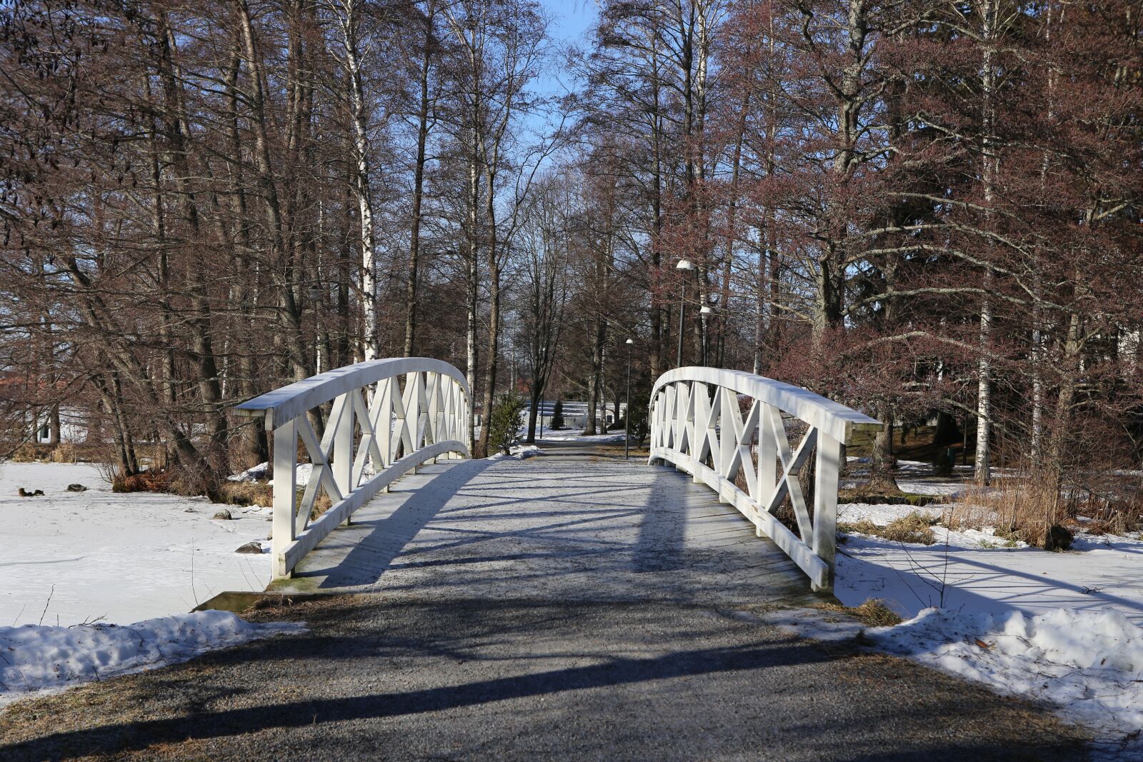 Canon EOS 6D + Canon EF 24-70mm F2.8L USM sample photo. Winter, snow, landscape photography