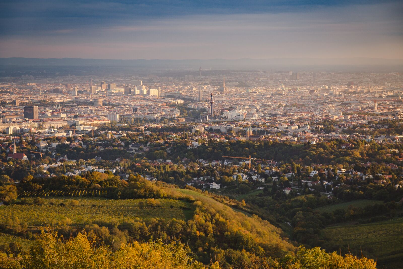 Canon EOS 6D + Canon EF 24-105mm F4L IS USM sample photo. Panoramic, city, cityscape photography