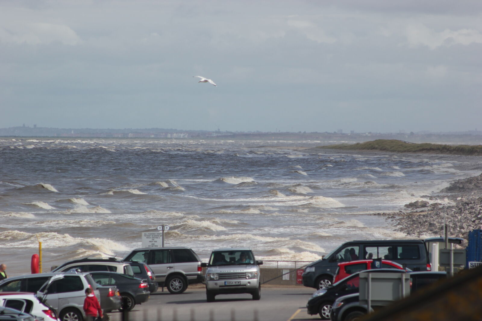 Canon EF 75-300mm f/4-5.6 sample photo. Beach, sea, seagulls, wave photography