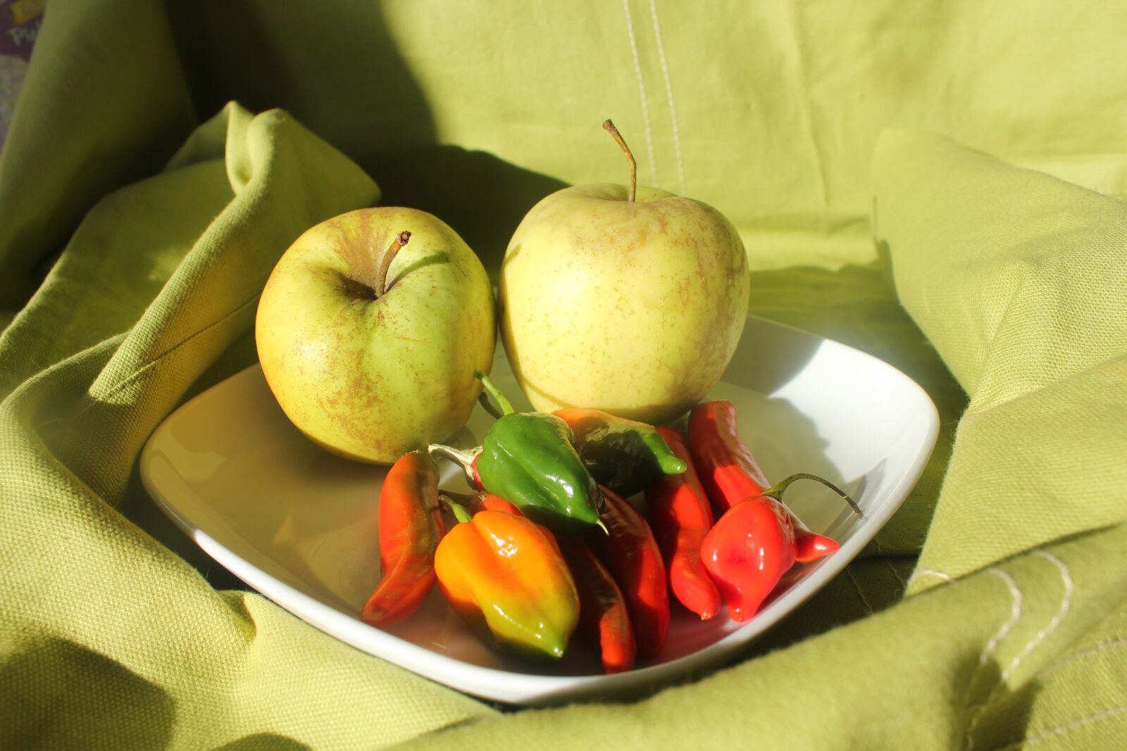 Canon EOS 550D (EOS Rebel T2i / EOS Kiss X4) sample photo. Peppers, chilli, red photography