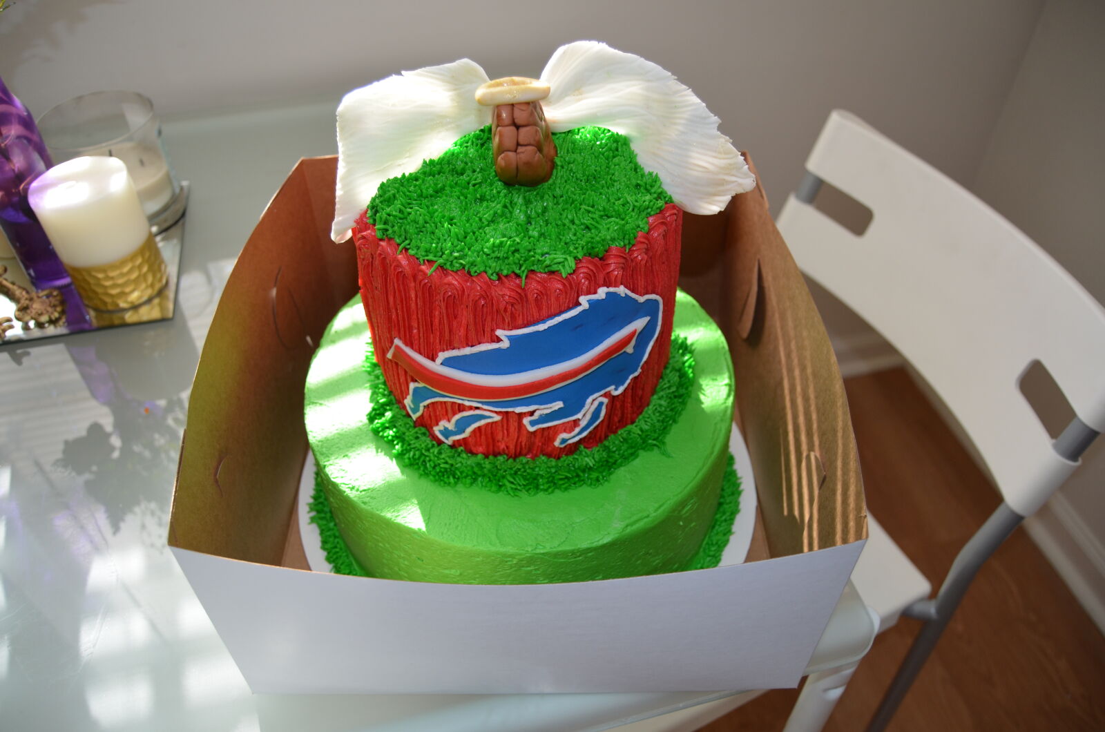 Nikon D5100 sample photo. American, football, angel, bills photography
