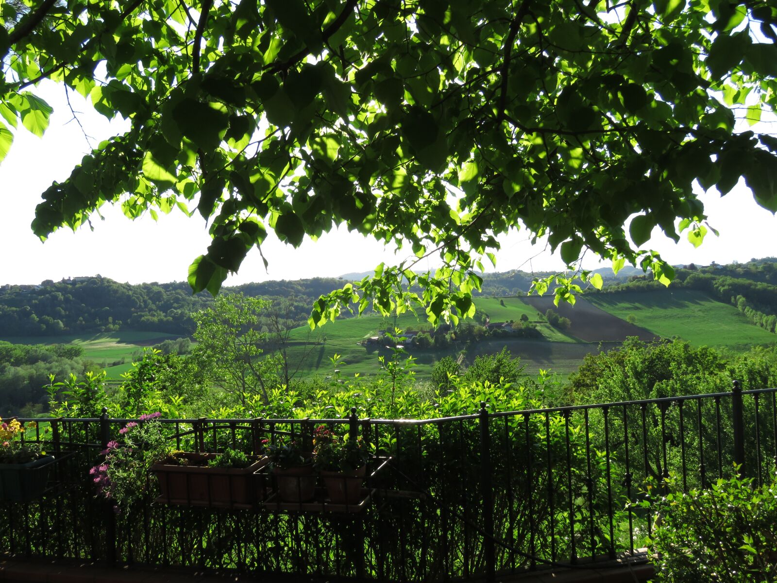 Canon PowerShot SX60 HS sample photo. Monferrato, piemonte, hills photography