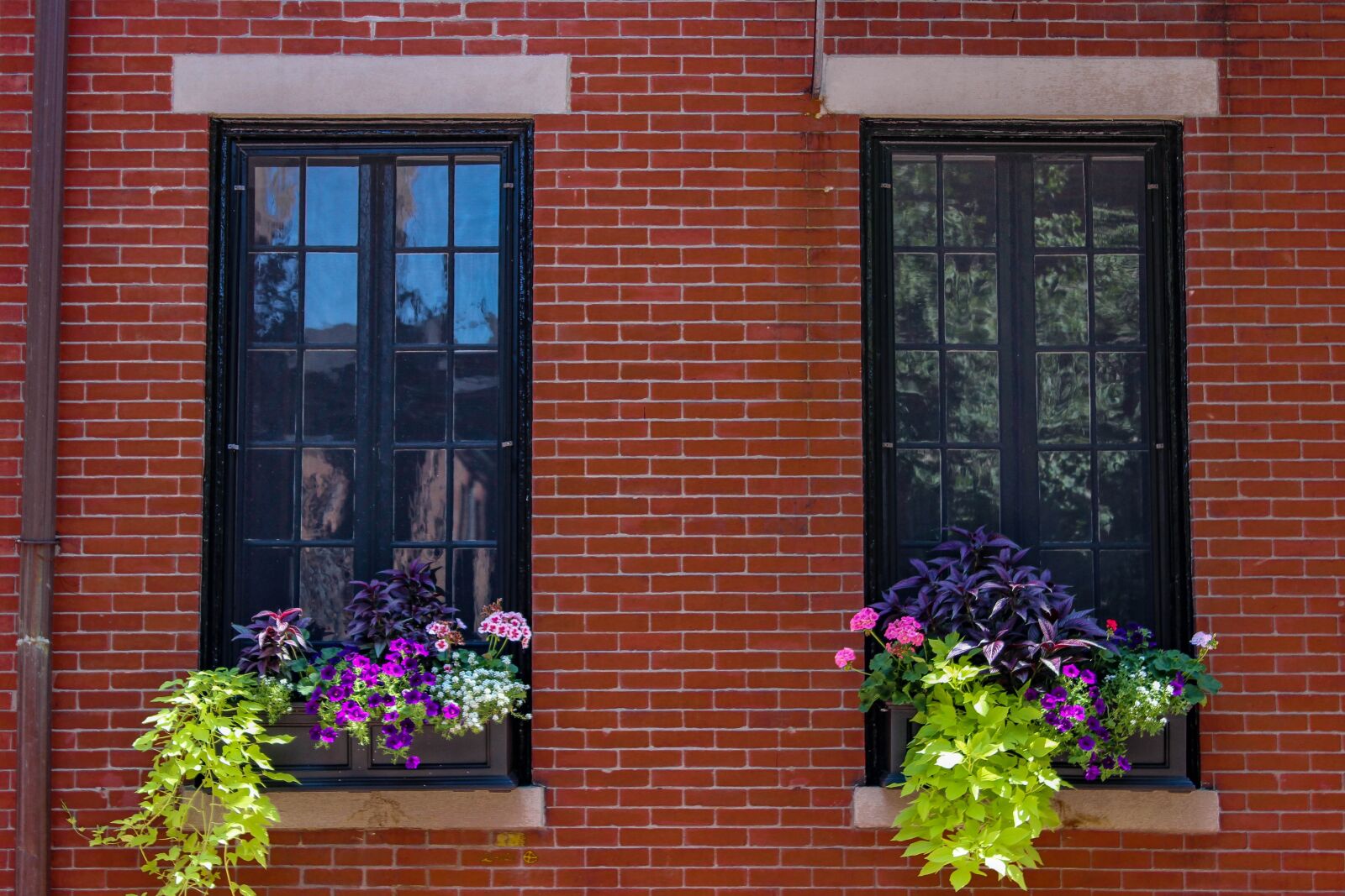 Canon EOS 600D (Rebel EOS T3i / EOS Kiss X5) sample photo. Window, brick, planter photography