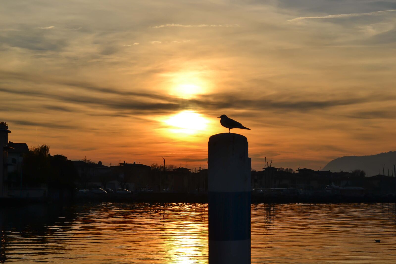 Nikon D3100 sample photo. Sunset, waters, sun photography