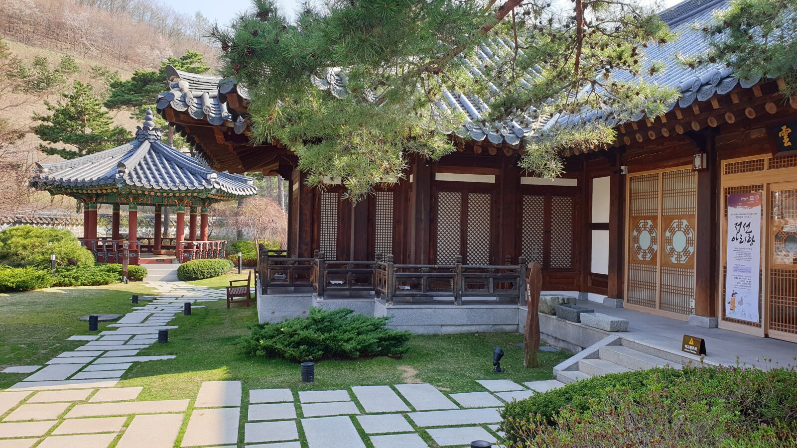 Samsung Galaxy Note9 sample photo. Korea co ltd, republic photography