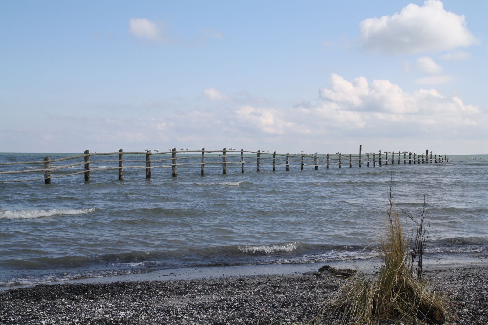 Canon EOS 1000D (EOS Digital Rebel XS / EOS Kiss F) sample photo. Waters, sea, beach photography