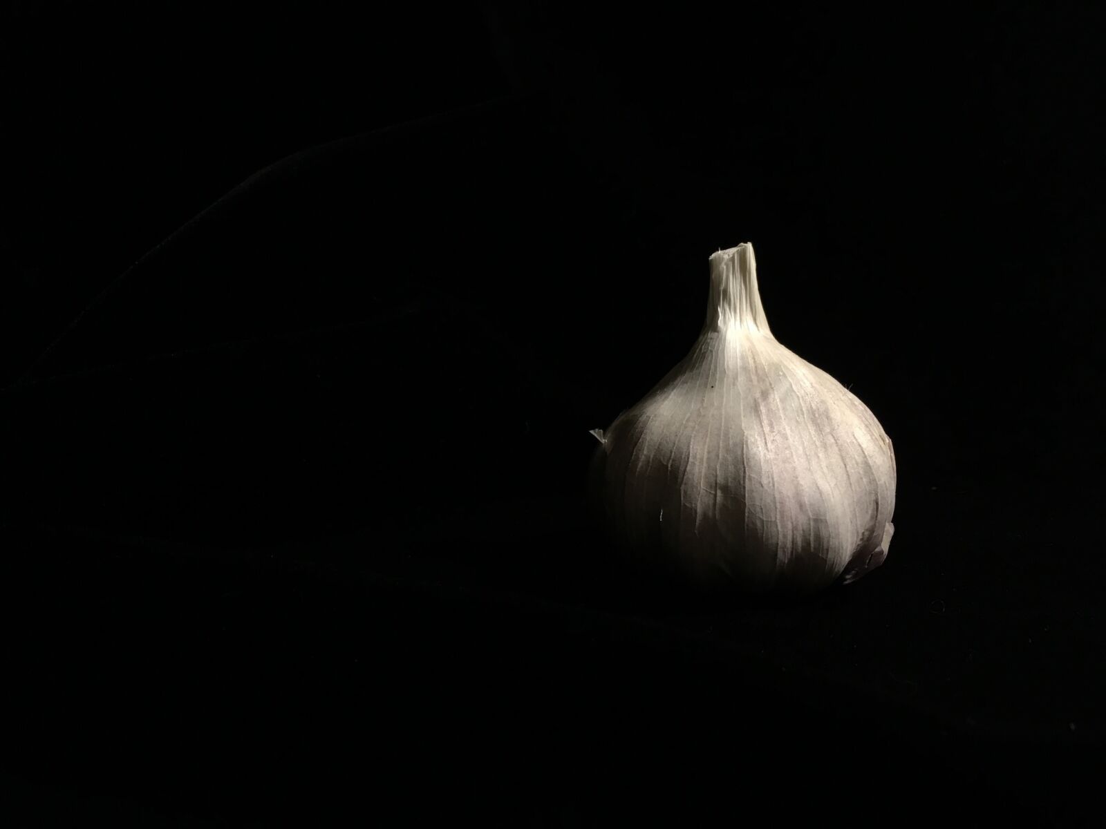 Apple iPad Pro sample photo. Black, low key, garlic photography