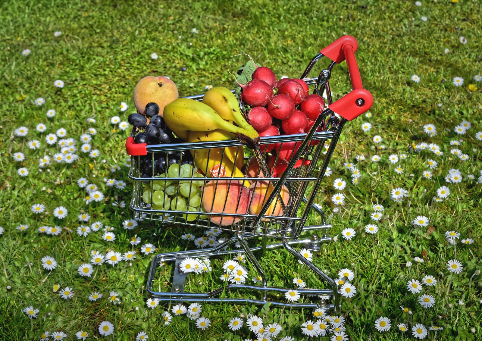 Nikon D7200 sample photo. Fruit, vegetables, shopping photography