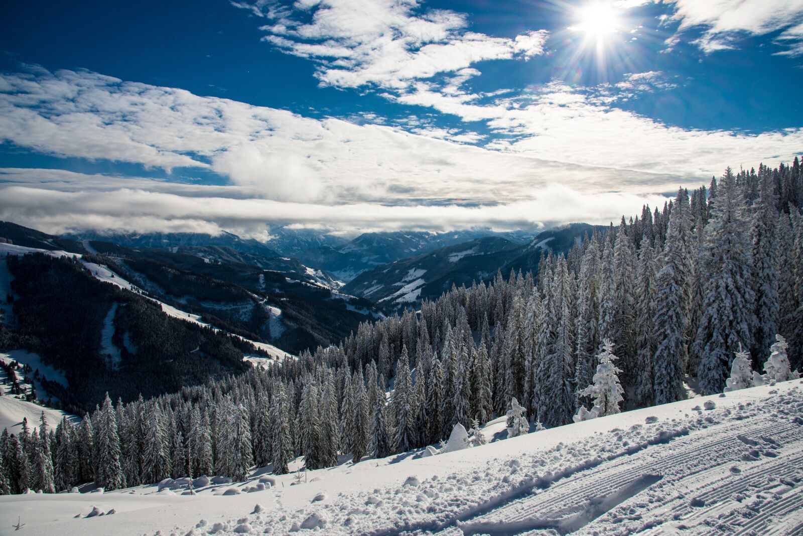 Nikon D800 sample photo. Winter, snow, nature photography
