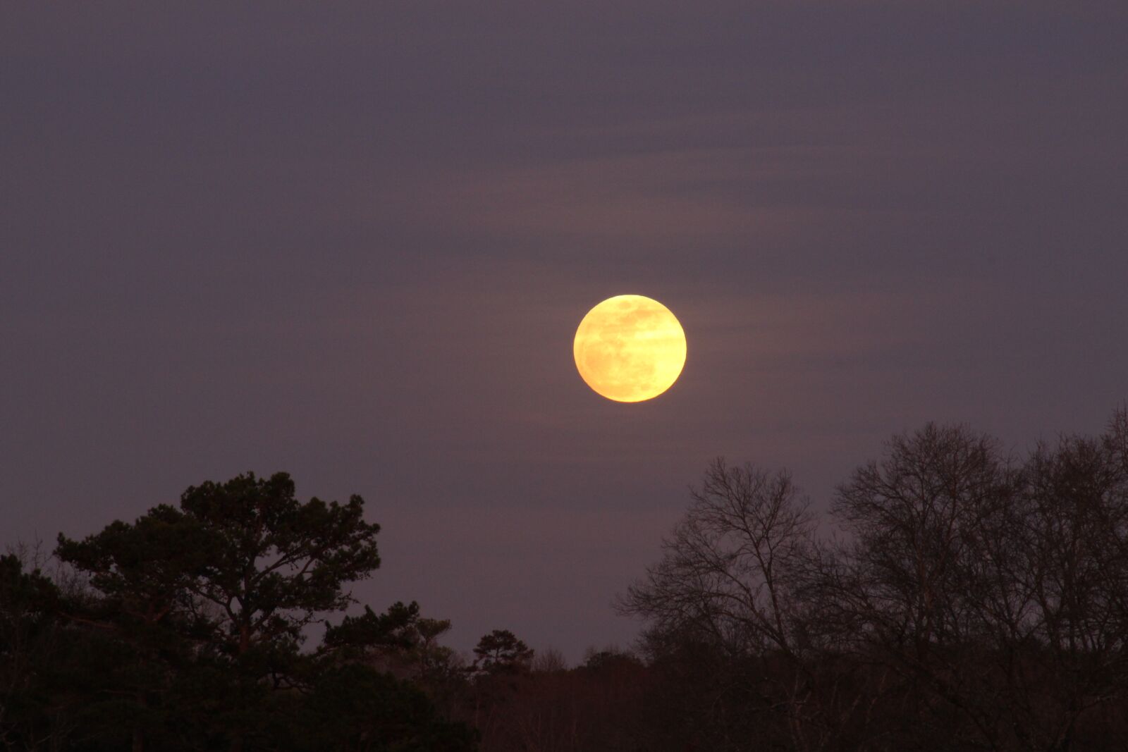 Canon EF 75-300mm F4.0-5.6 IS USM sample photo. Full moon, moonrise, sky photography