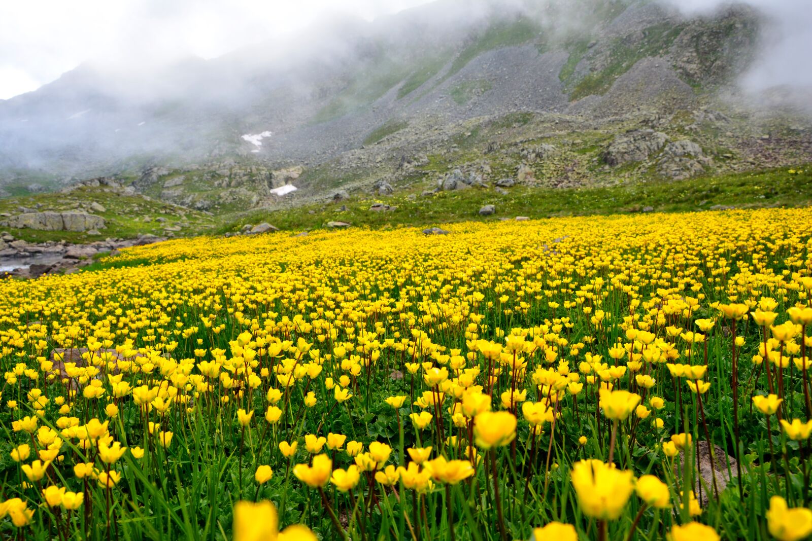 Nikon D7100 sample photo. Nature, landscape, kaçkars photography