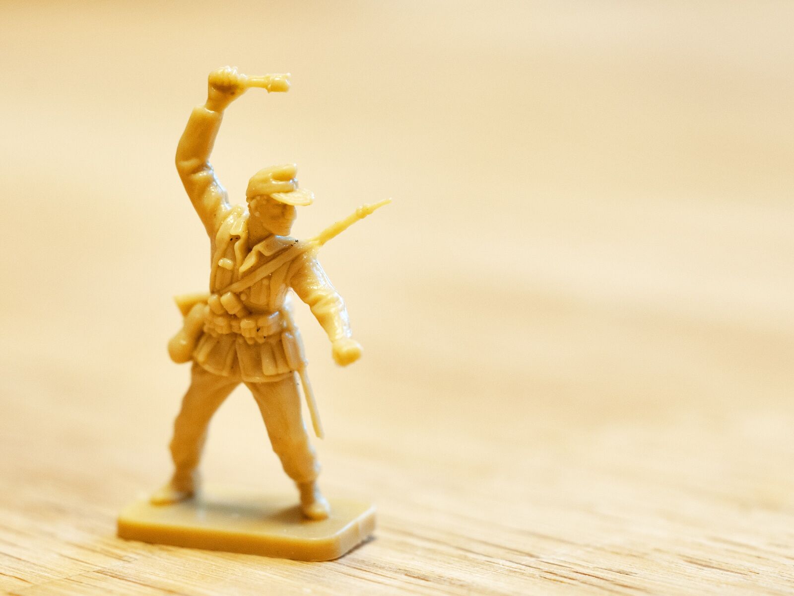 Nikon D300S sample photo. Plastic, toy, soldier photography