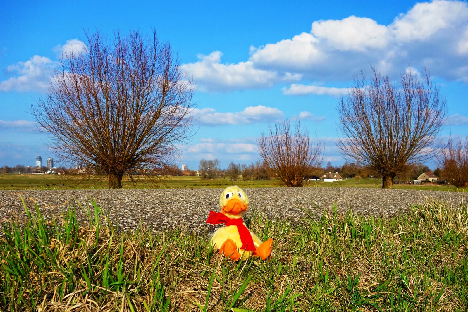 Sony Cyber-shot DSC-RX100 sample photo. Duck, stuffed animal, cuddly photography