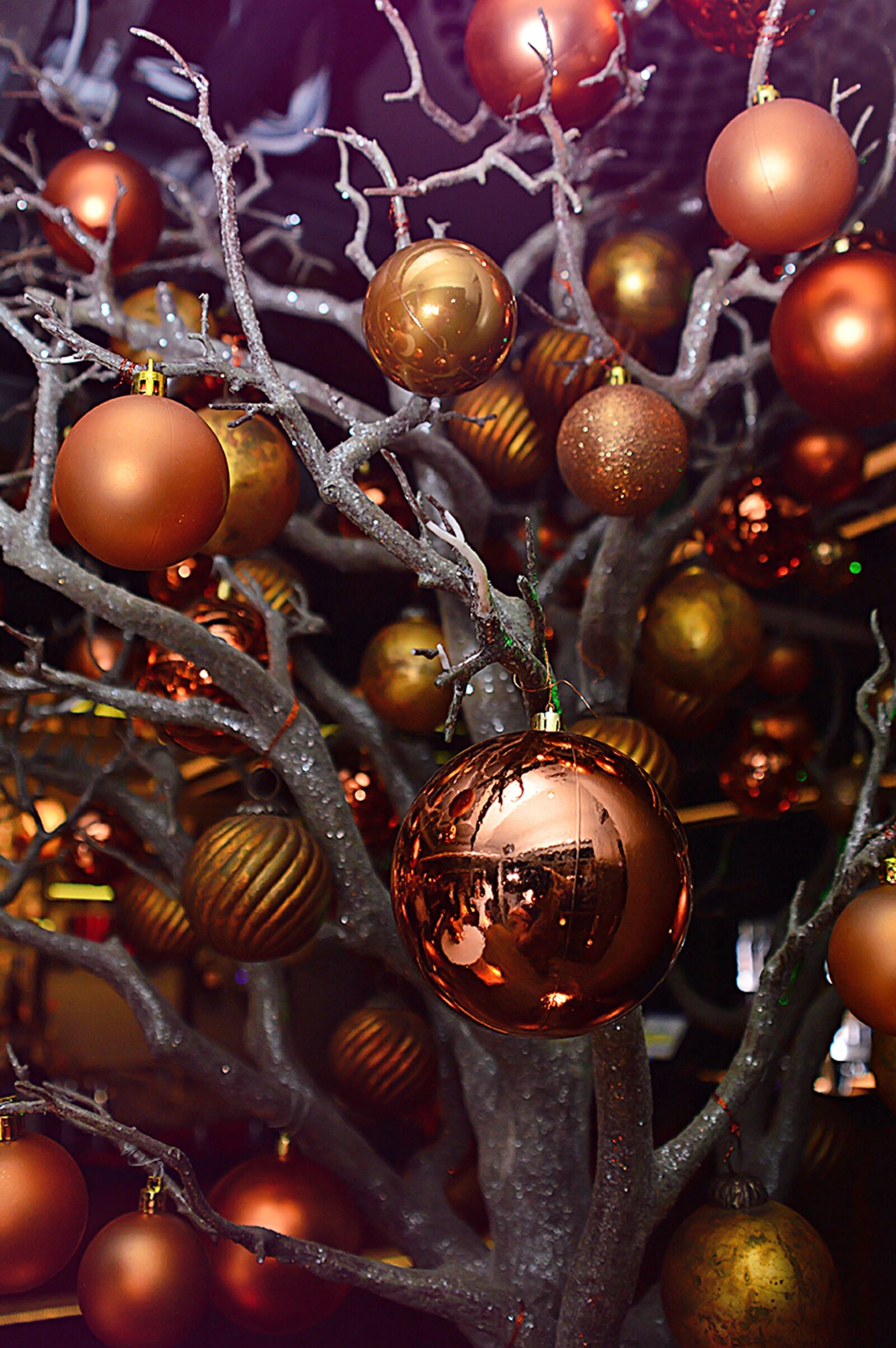 Nikon D3200 sample photo. Xmas, glitter, winter photography