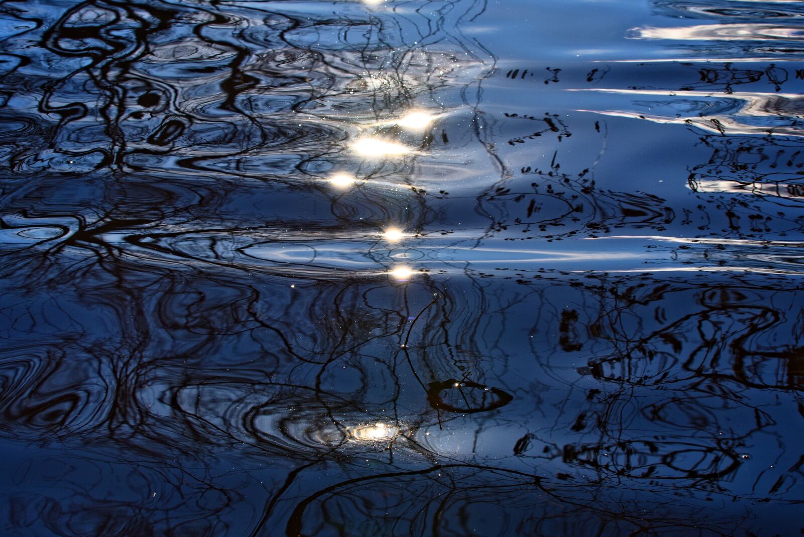 Nikon D750 sample photo. Water, waves, sun glitter photography