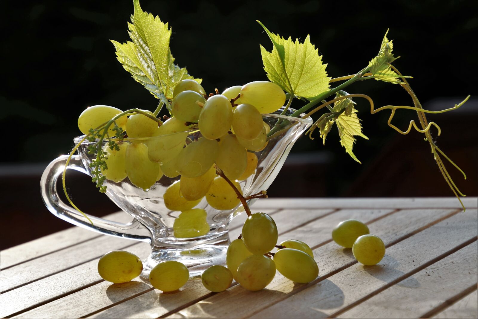 Canon EOS 80D sample photo. Grapes, green, lean photography