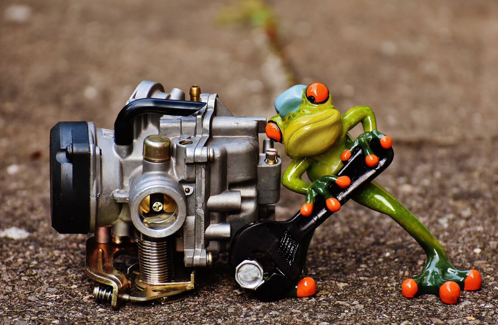 Nikon D7200 sample photo. Frog, mechanic, screwdrivers photography