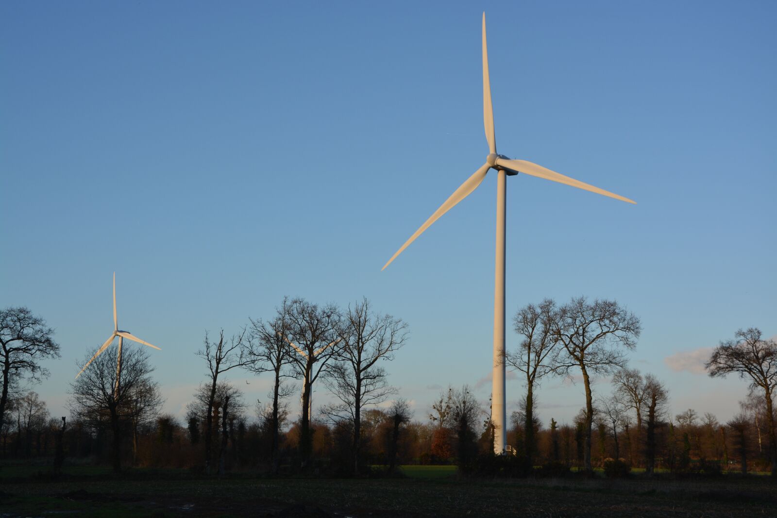 Nikon D5200 sample photo. Wind turbines, site, electricity photography
