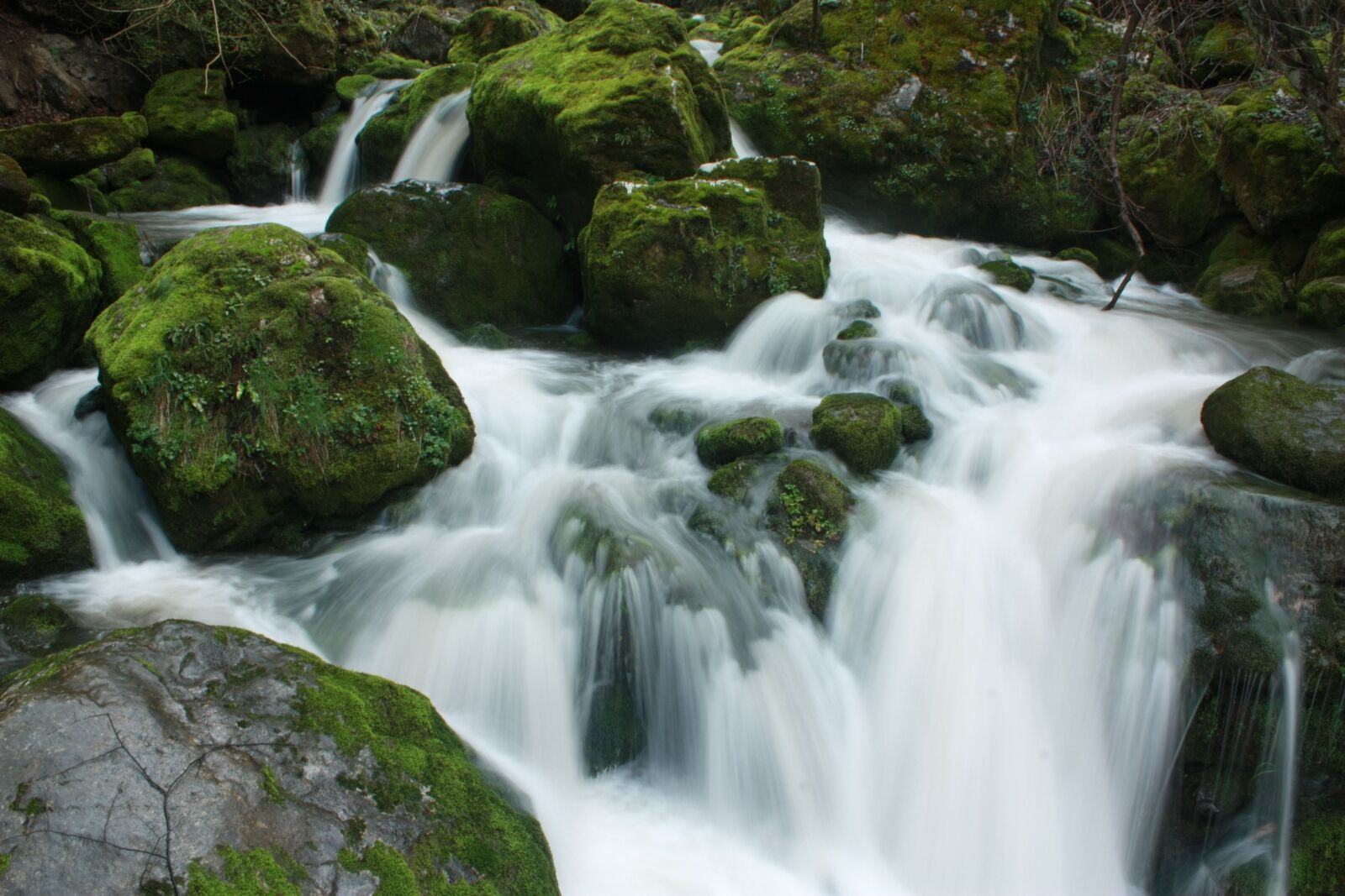 Canon EOS 450D (EOS Rebel XSi / EOS Kiss X2) sample photo. Waterfall, milk watter, moss photography