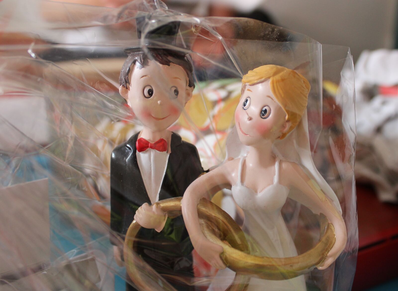 Canon EOS 600D (Rebel EOS T3i / EOS Kiss X5) sample photo. Bride and groom, wedding photography