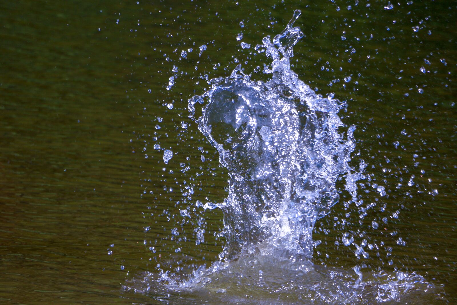 Canon EOS 70D sample photo. Water, drops, liquid photography