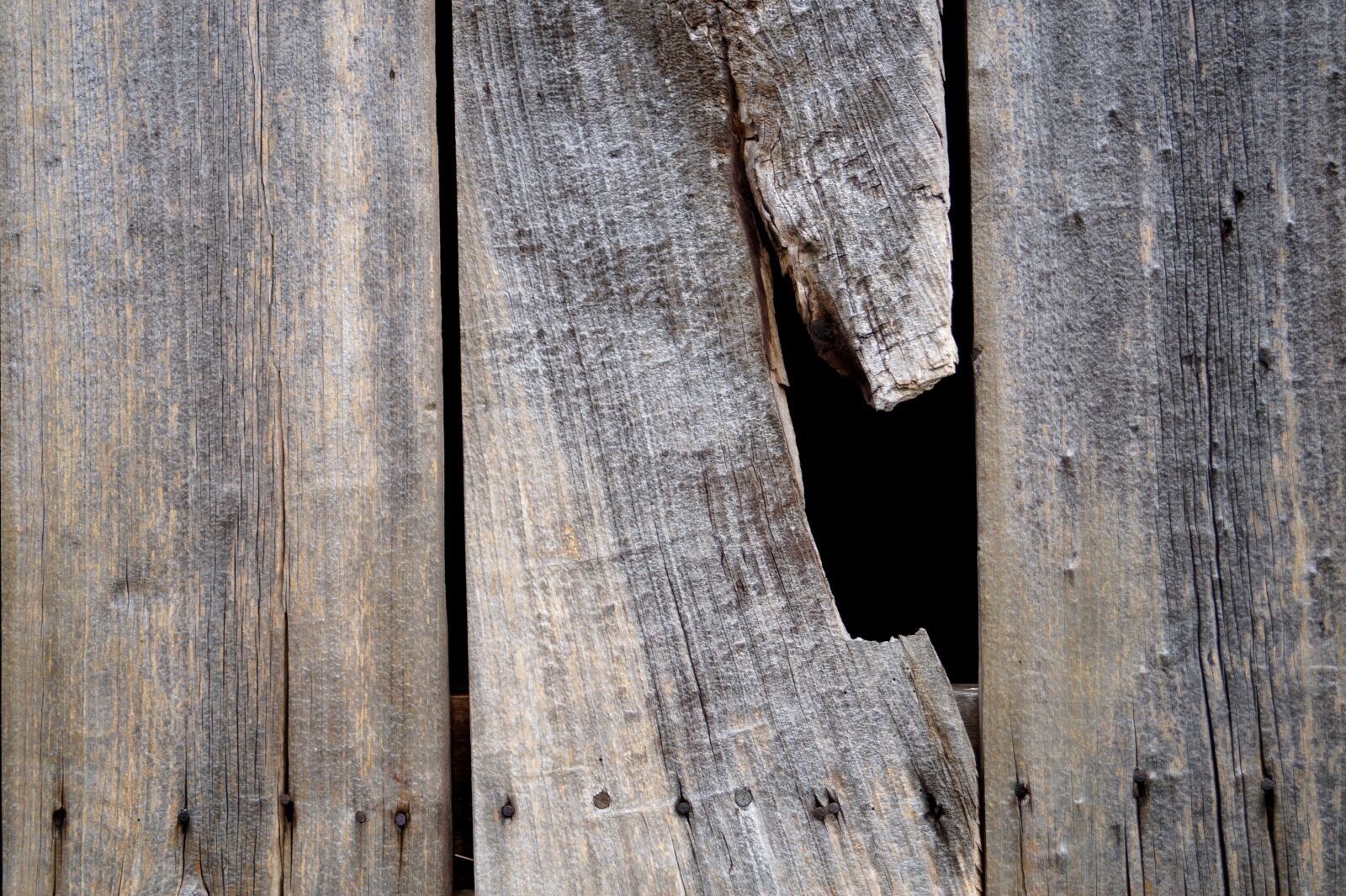 Sony SLT-A58 sample photo. Wood, wooden wall, wooden photography