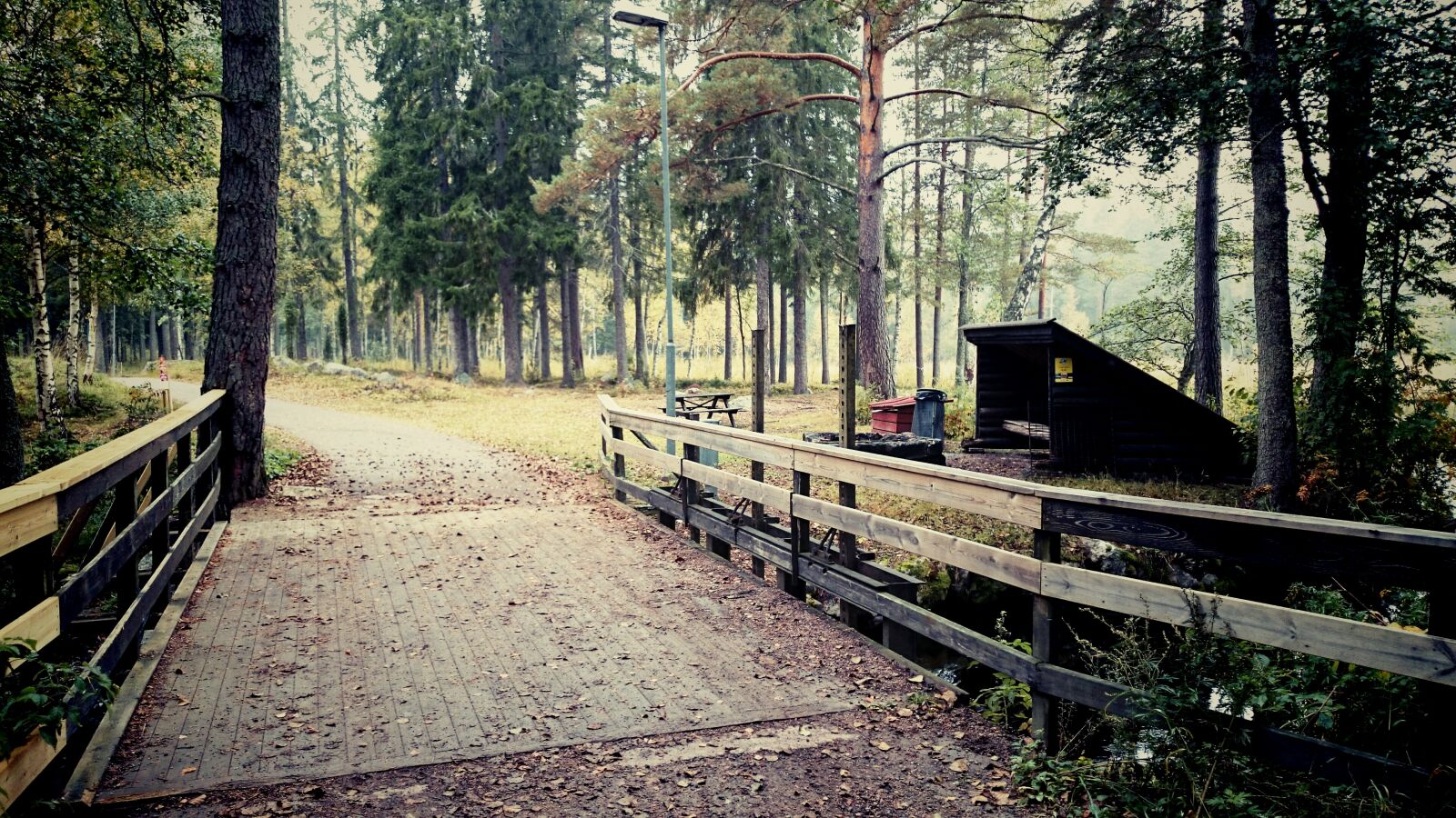 Sony Xperia Z1 sample photo. Natural, nature photography