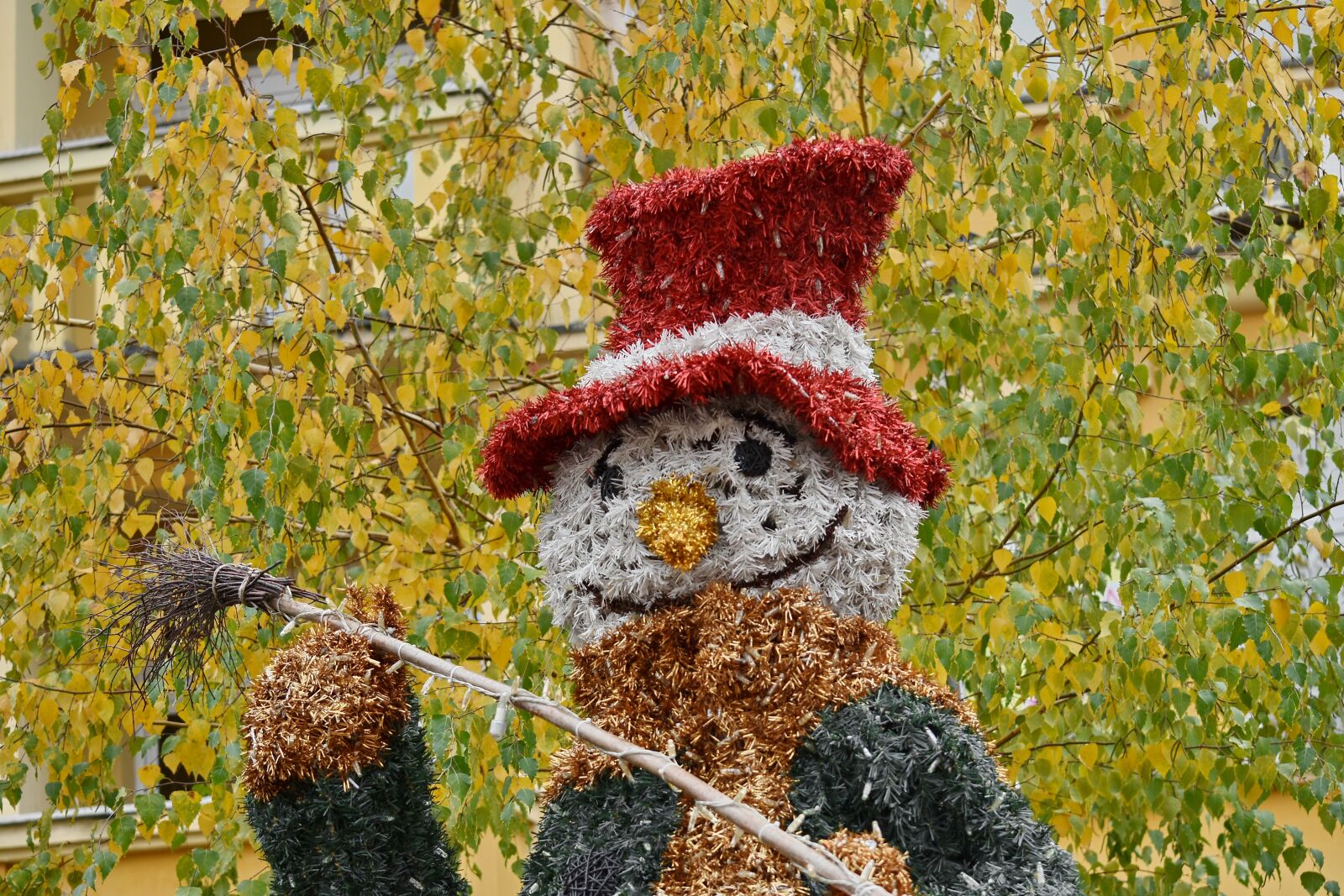 Nikon D5500 sample photo. Autumn season, decoration, funny photography