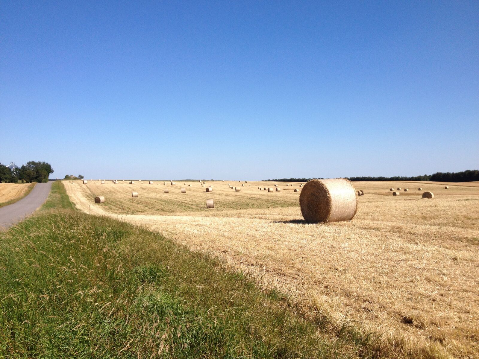 iPhone 4S back camera 4.28mm f/2.4 sample photo. Summer, harvest, field photography
