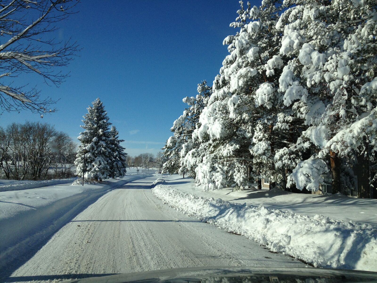 Apple iPhone 4S sample photo. Snow, winter, holiday photography