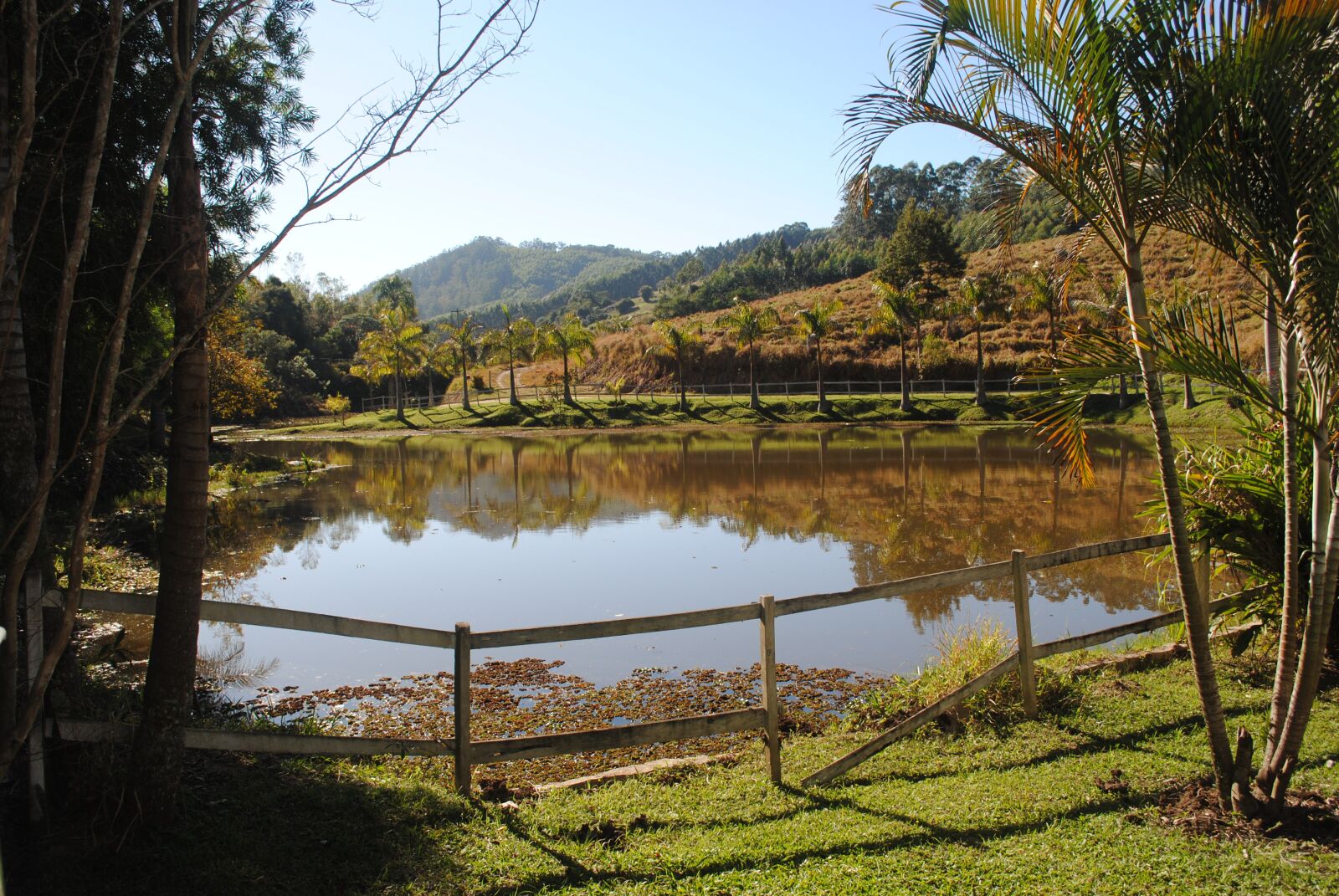 Nikon D3000 sample photo. Lake, nature, water photography