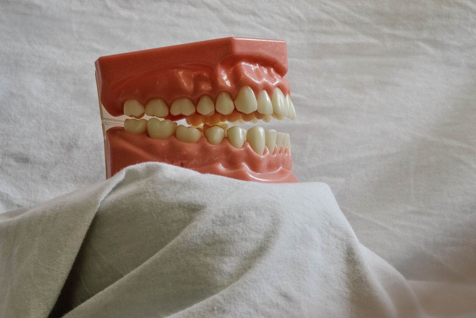 Nikon D3100 sample photo. Teeth, tooth, dental photography