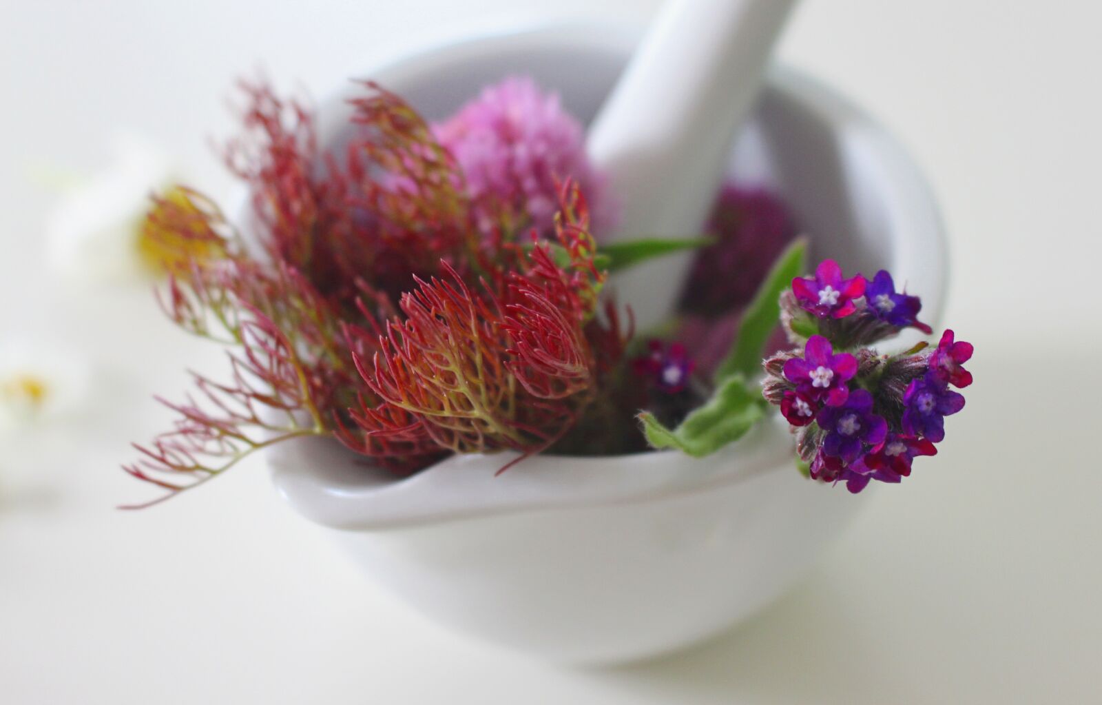 Canon EOS 700D (EOS Rebel T5i / EOS Kiss X7i) sample photo. Medicinal flower, cure, ointment photography