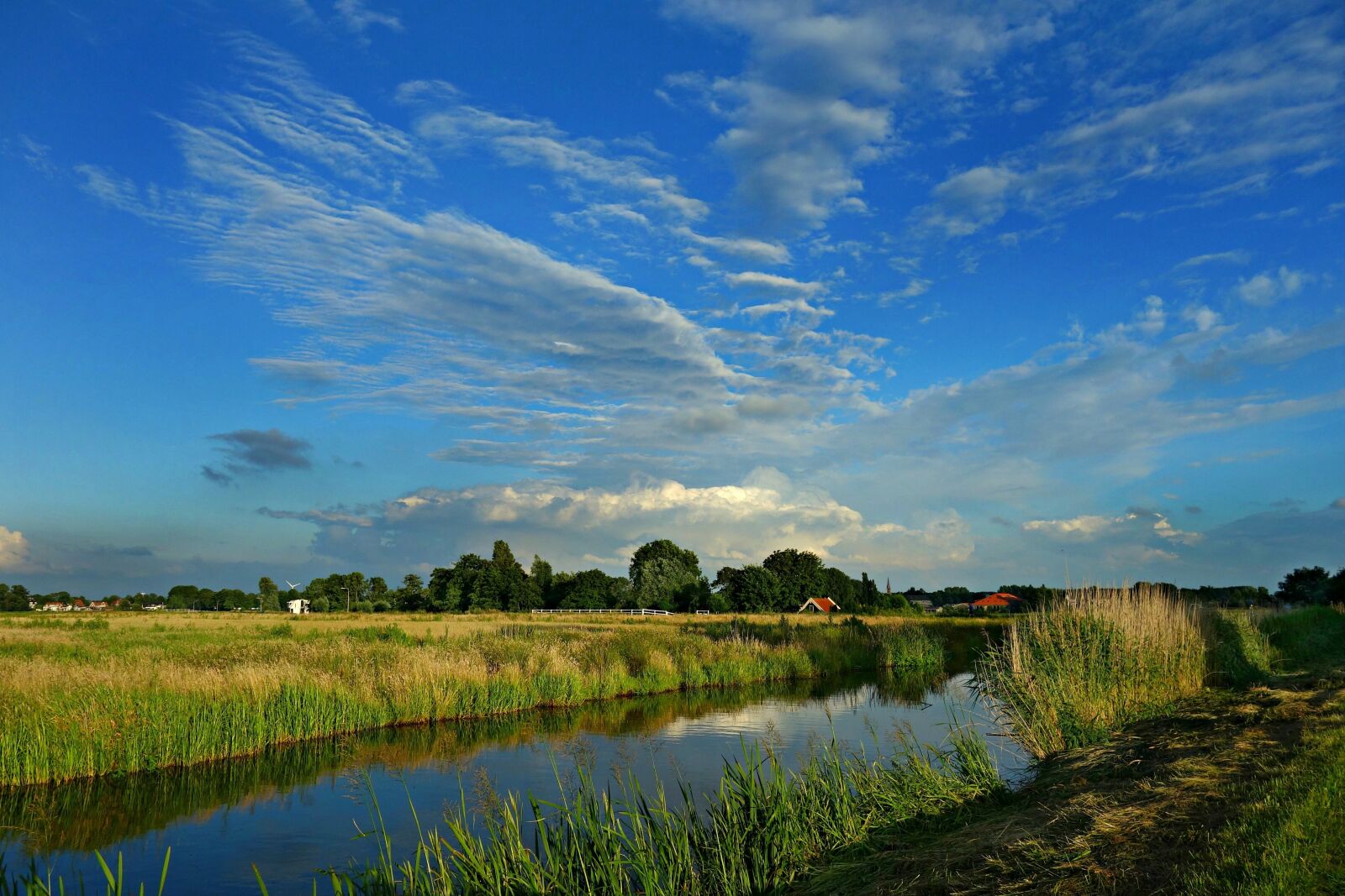 Sony Cyber-shot DSC-RX100 sample photo. Landscape, dutch landscape, polder photography