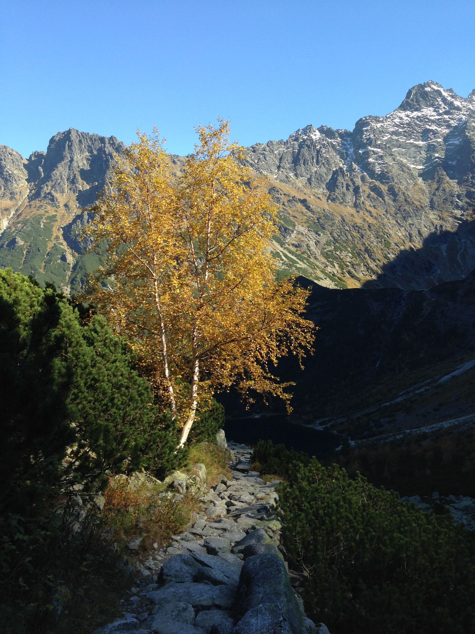 iPhone 5c back camera 4.12mm f/2.4 sample photo. Tatry, autumn, mountains photography