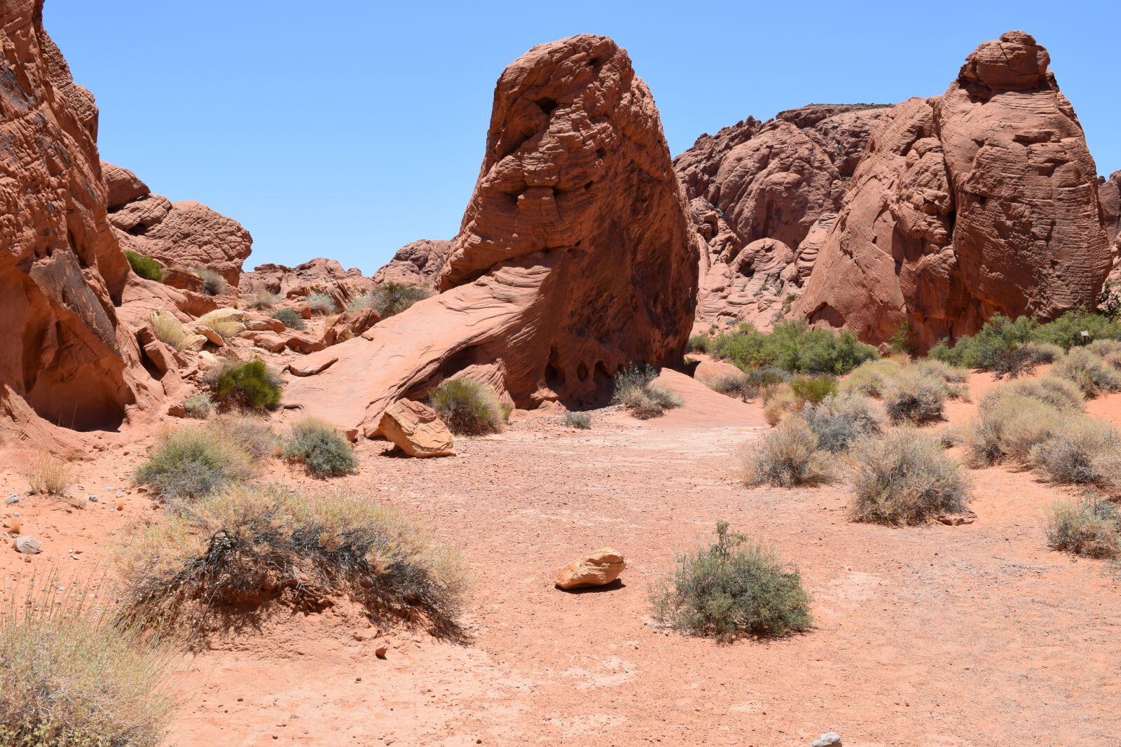 Nikon D3300 sample photo. Desert, landscape, the valley photography