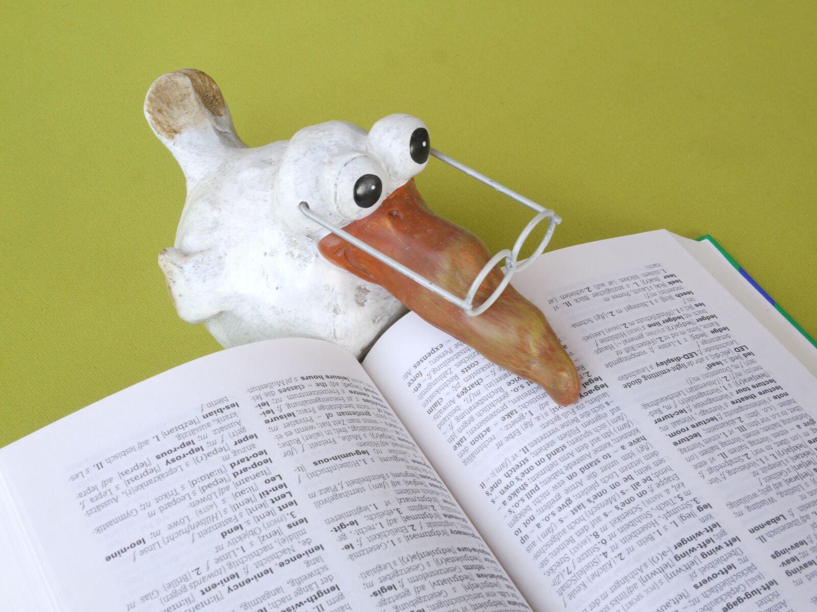 Panasonic Lumix DMC-G1 sample photo. School, book, knowledge photography