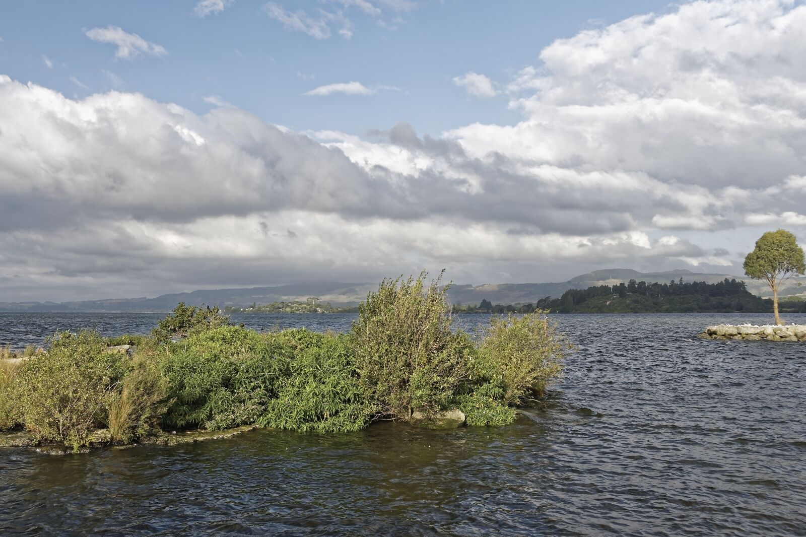 Nikon D500 sample photo. New zealand, lake rotorua photography