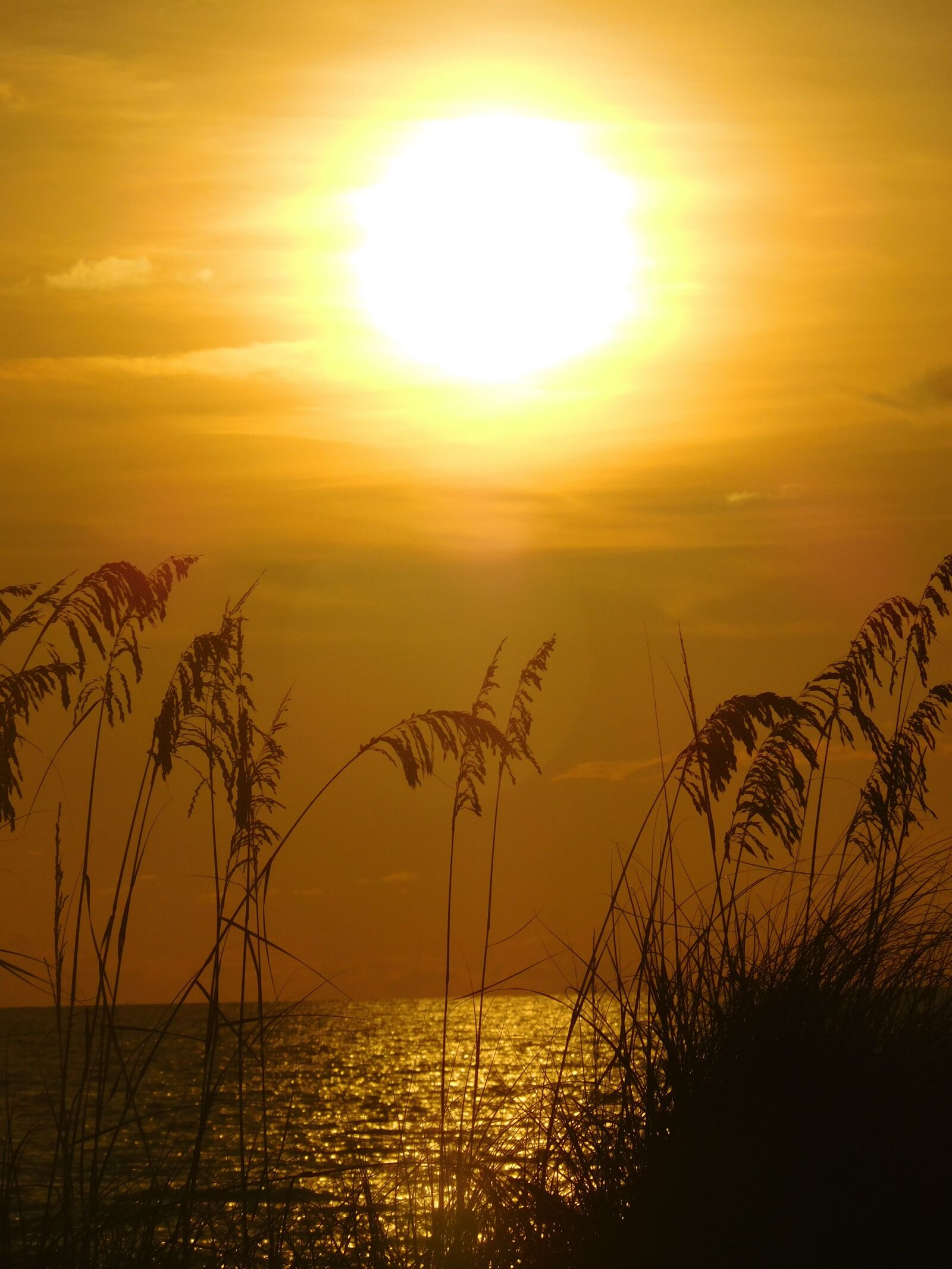 Nikon Coolpix S7000 sample photo. Sunset, ocean, sun photography