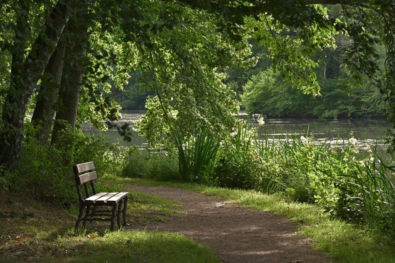 Nikon D5200 sample photo. Park, relaxation, park bench photography